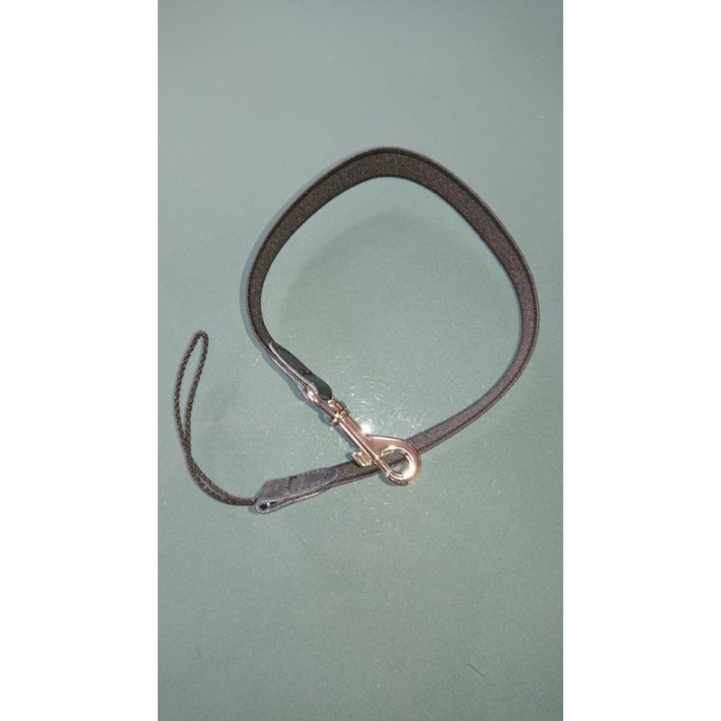 Elastic safety strap