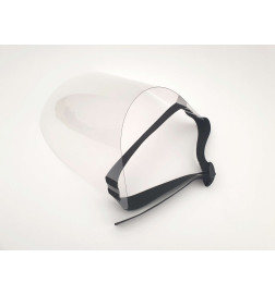 Face shield