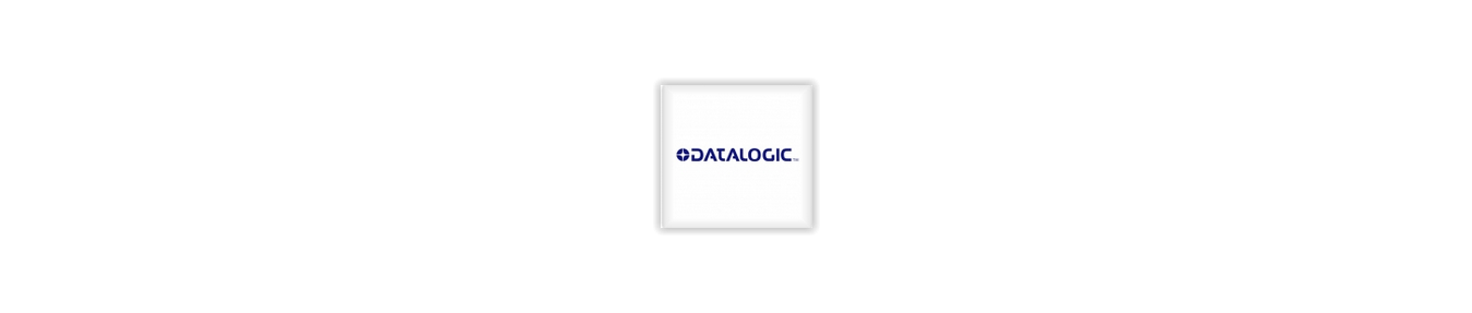 Datalogic: cases, holsters accessories -  Shop online on ACTset